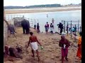TRICHY -SRIRANGAM HOLY BATH OF ELEPHANT TRICHY -SRIRANGAM HOLY BATH OF ELEPHANT