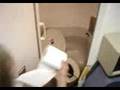 Toilet Paper Plane Flush