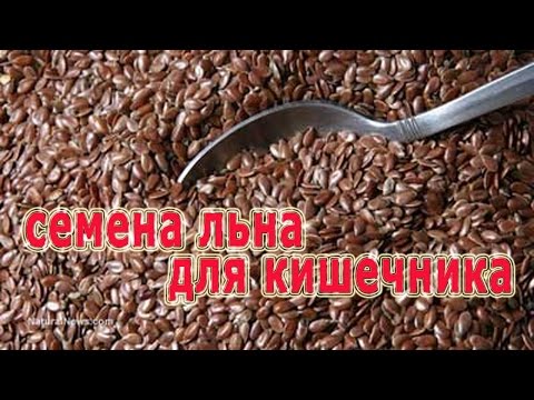 Как сделать будку для собаки своими руками Как раскрасить бочки на даче с помощью трафаретов? : как сделать самому