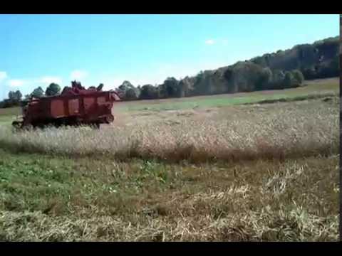 how to harvest the crop from the riddle