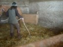 suite des progres de tina