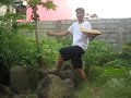baklang mag-gugulay