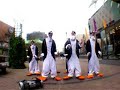 pinguins jumpen in rotterdam
