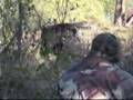 Ver Video