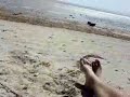 Kite surf