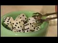 Spaghetti DInner