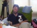 cool pic serie from my dog cavalier