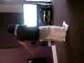 this is a video of my mam on the wii fit.