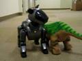 Pleo Sniffs Aibo