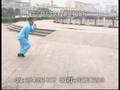 崔杰利 形意拳八卦掌2 xingyiquan baguazhang fight2