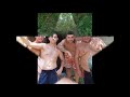 LOS COLEGAS DE LA FALLERA