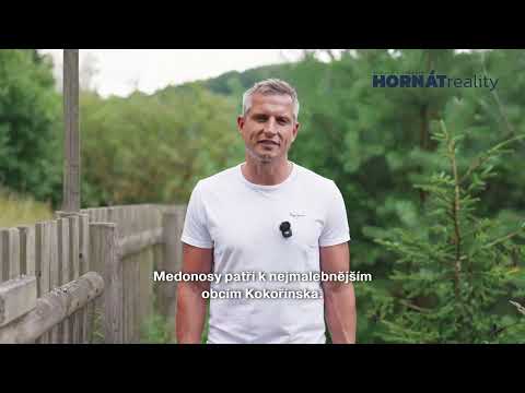 Video Prodej, roubenka, Medonosy