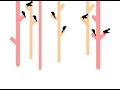 SLINGSHOT