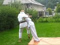 Trga Gate Ninjitsu