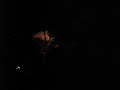 golden rule by biffy clyro live