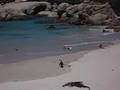 Guarda video