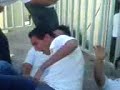 La chinchilegua 2