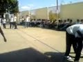 La chinchilegua 2