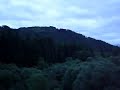 The second longest zipline in the UK! At Go Ape! Aberfoyle