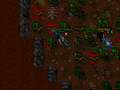 Botters Ownage Revolutions [Danera - Tibia]