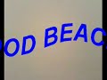 holmewood beach whale