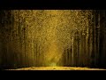 Zeds Dead - Journey Of A Lifetime [HD]