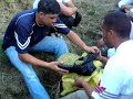 hachis peque�o video