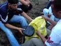 hachis pequeño video