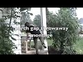 porch gap throwaway montage