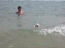 Kryster goes to the beach