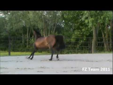 Isolde V Video