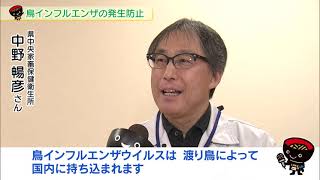 【第41回】鳥インフルエンザの発生防止　～我が家の鳥と養鶏産業を守るために～