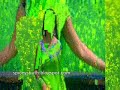 Anushka in Saree.wmv