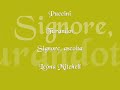puccini   turandot   signore ascolta   mitchell