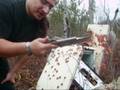 shooting my black powder pistol
