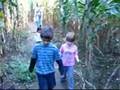 Children of the Corn (Maze)