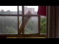 video thumnail