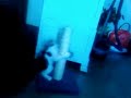 miaou n�2
