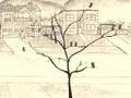 Free As a Bird