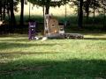 223 vs. Pumpkin, high speed video 300 frames/sec