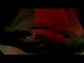 Figli della Pachamama