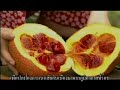 See Video