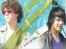 Jonas Brothers: You Gotta Love Them