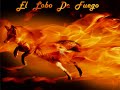 Cartas Cadena 1/? (Cierran Hotmail !!!!)