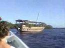 magharibi tour diani beach kenya kenia
romantic tour through the mangroves of kenia watching the sundown