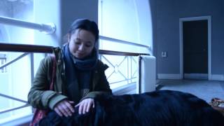 Final Film - Out of Bounds