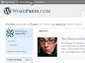 How to add StatCounter to a wordpress.com blog.