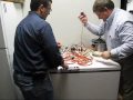 Episode 3: Holidays Are Always Better Without Electrical Fires
