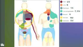 흉통을 호소하는 환자의 문진과 진찰 - 한림의대김재국 교수님