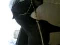 MOV02122 MOV02122